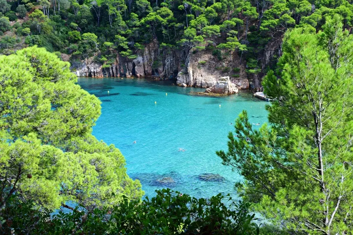 Calas escondidas cerca de Barcelona, con aguas turquesas y pinos frondosos. Un paraíso para descubrir.