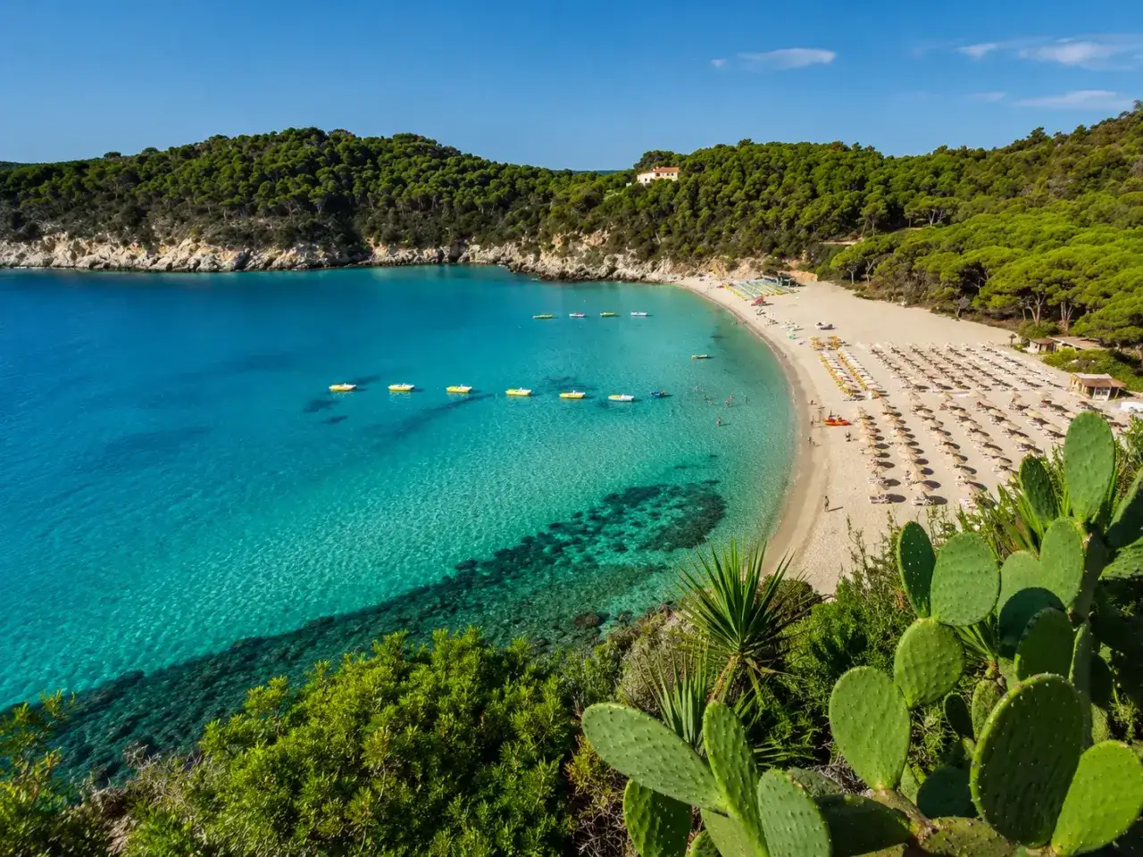 Plage idyllique aux **&icirc;les Toscanes**, eaux turquoise, sable fin, parasols et cactus luxuriants.