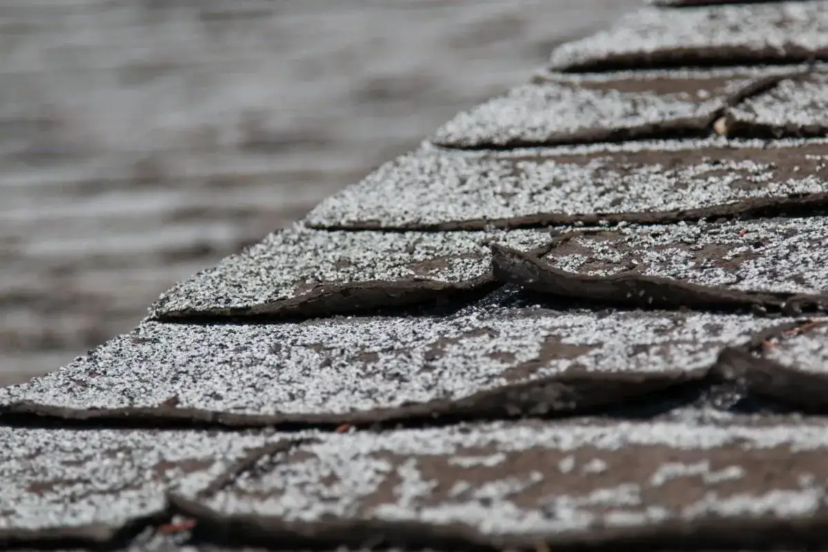 Close-up of a weathered roof showing buckling shingles with granular texture.