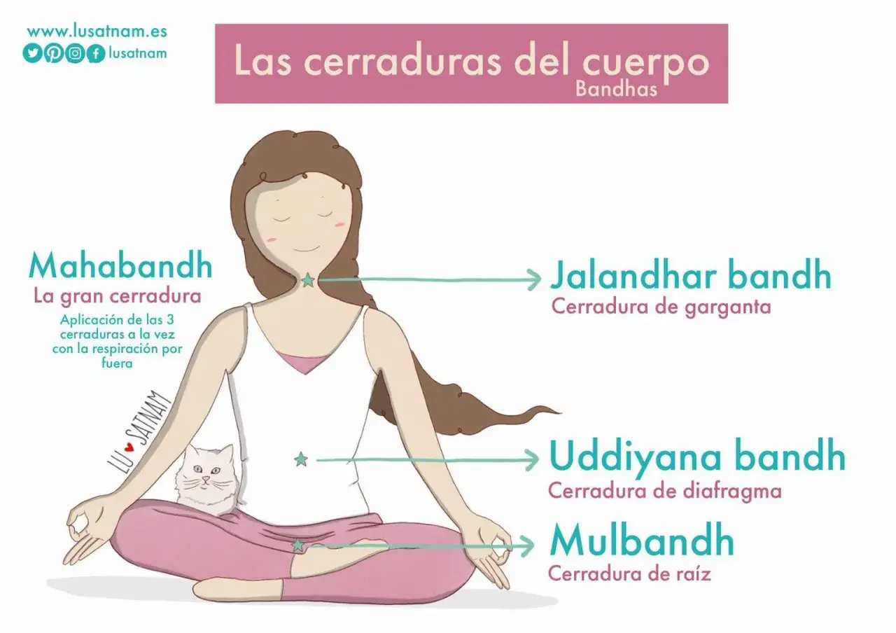 Ilustración de una persona en postura de loto, explicando los bandhas o