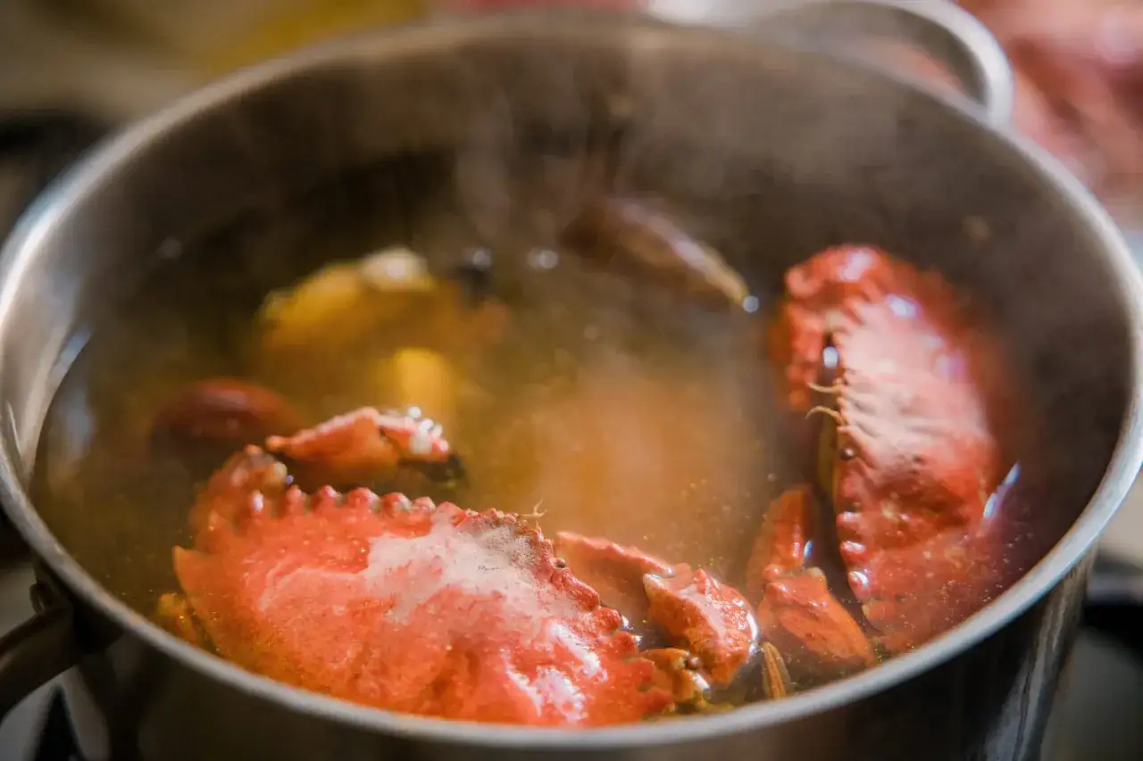 Gros plan sur la cuisson crabe dans une marmite bouillonnante. La vapeur s'échappe, révélant des morceaux de crustacés rouges.