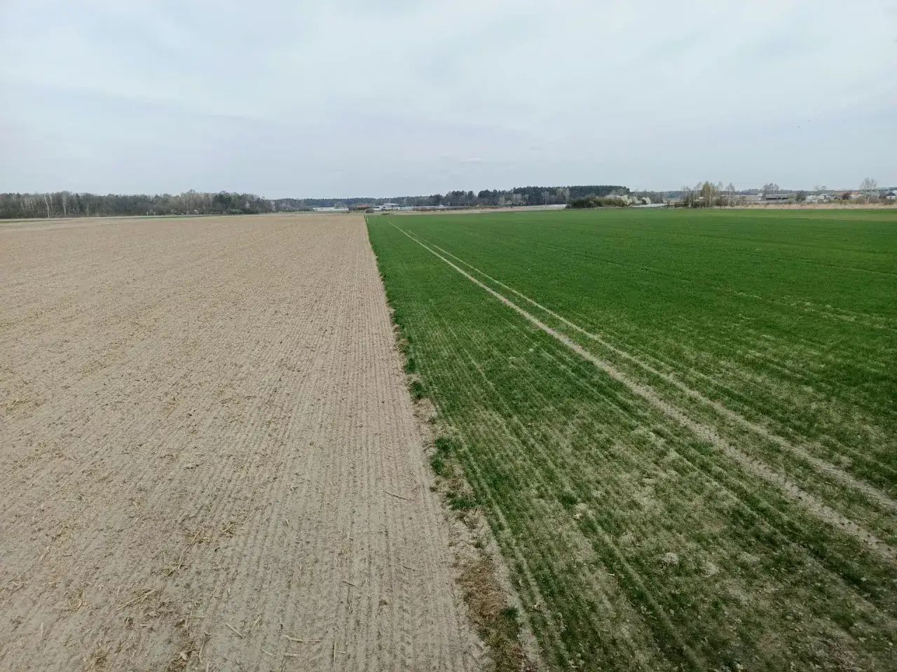 Pole podzielone na dwie części: orne i zielone. Zastanawiasz się, ile kosztuje 1 ha łąki?