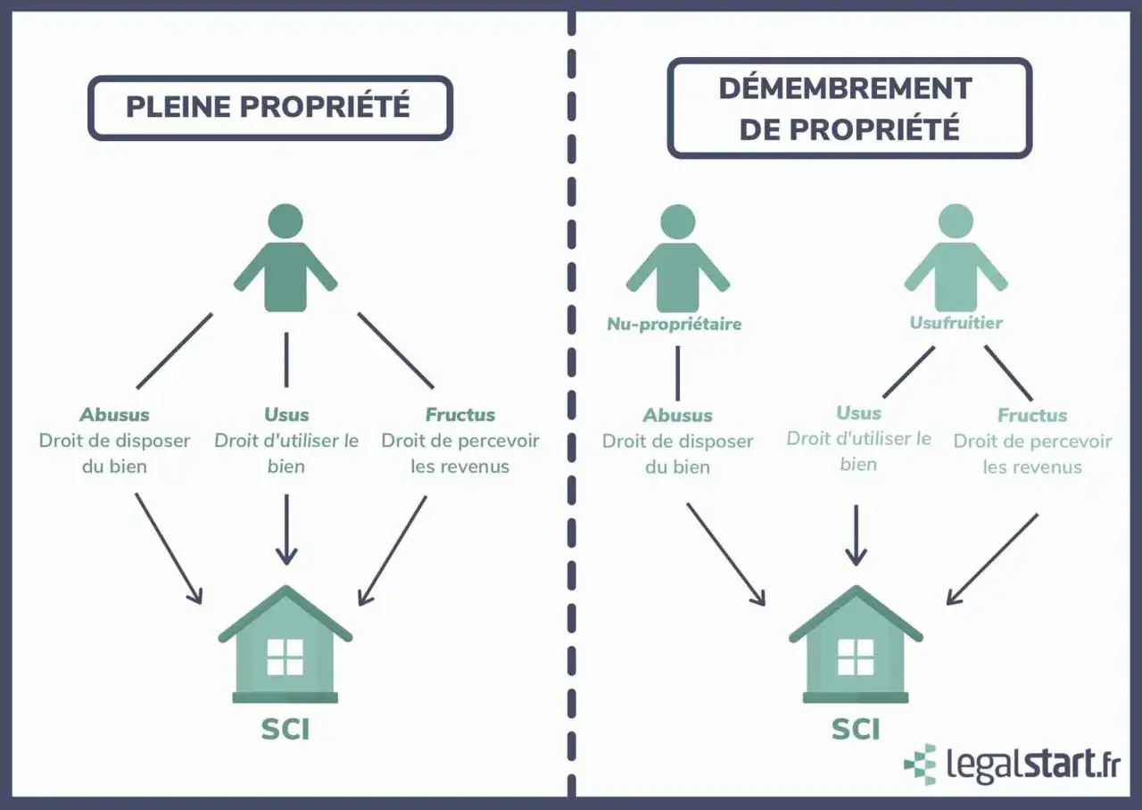 Schéma illustrant la pleine propriété et le démembrement, utile pour un exemple de sci familiale succession.