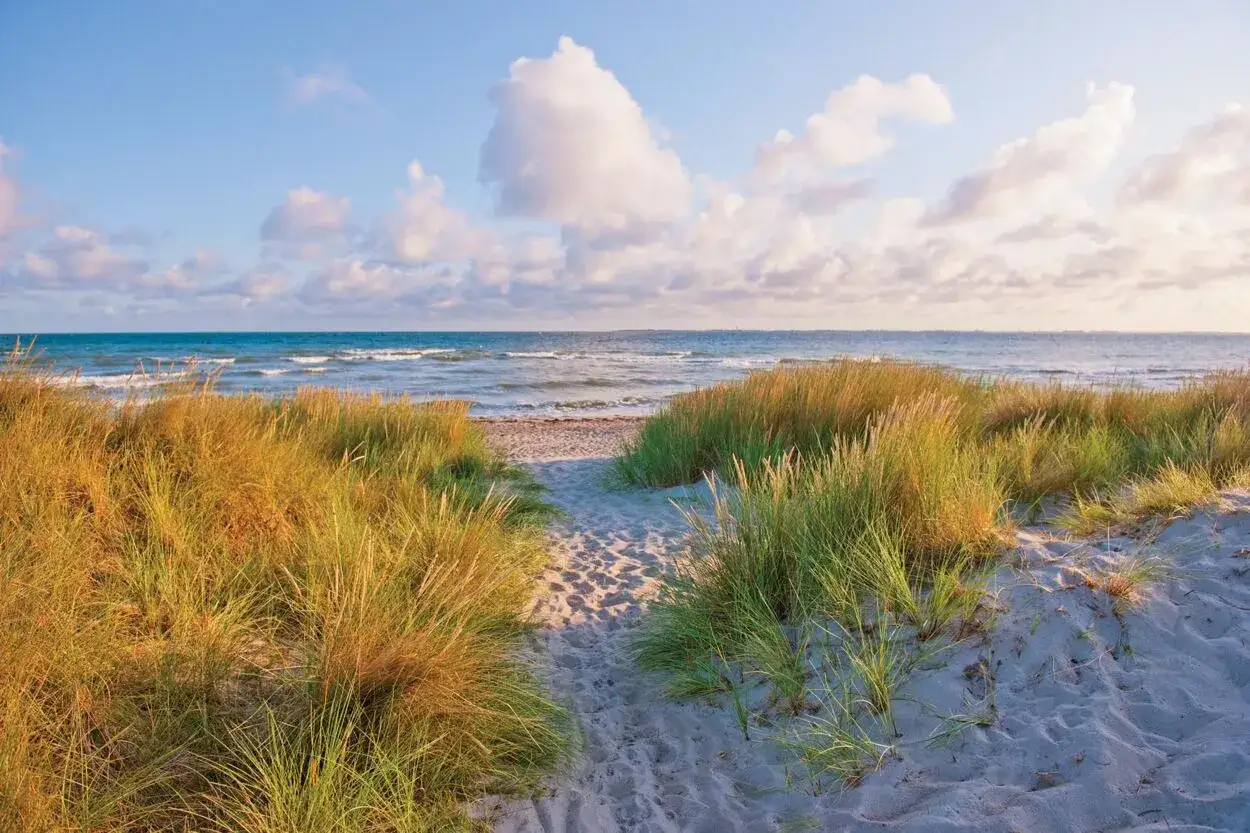 Sandiger Weg durch Dünen mit Gräsern zum Meer. Perfekt für Ausflüge in Heiligenhafen.
