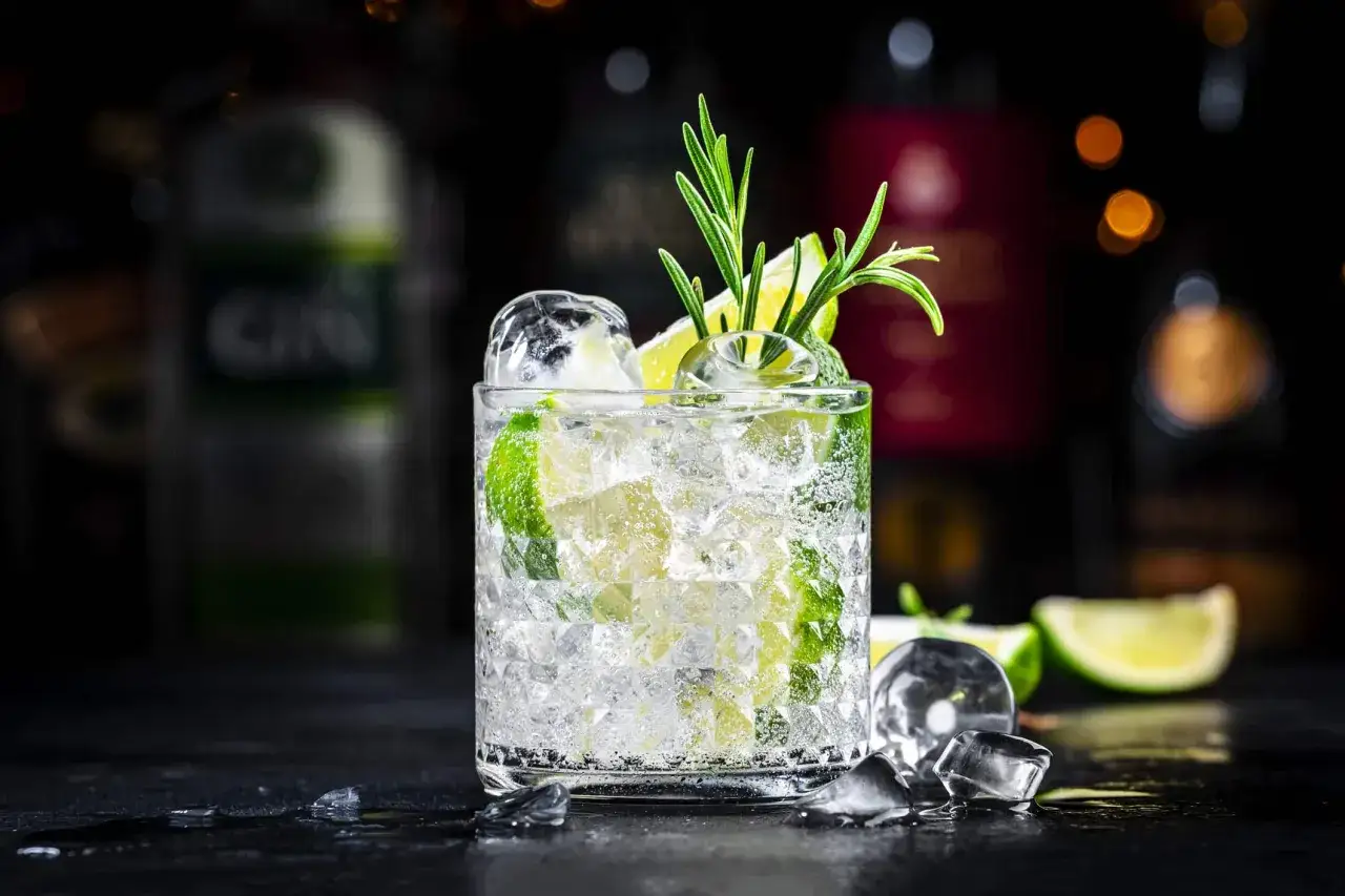 Erfrischender Gin Tonic mit Eis, Limettenscheiben und Rosmarin. Perfekt f&uuml;r einen entspannten Abend.