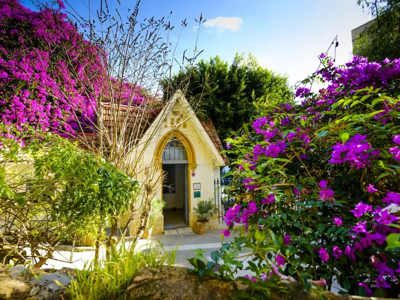 Edificio con arco gótico y flores moradas vibrantes, parte del cementerio de los ingleses.