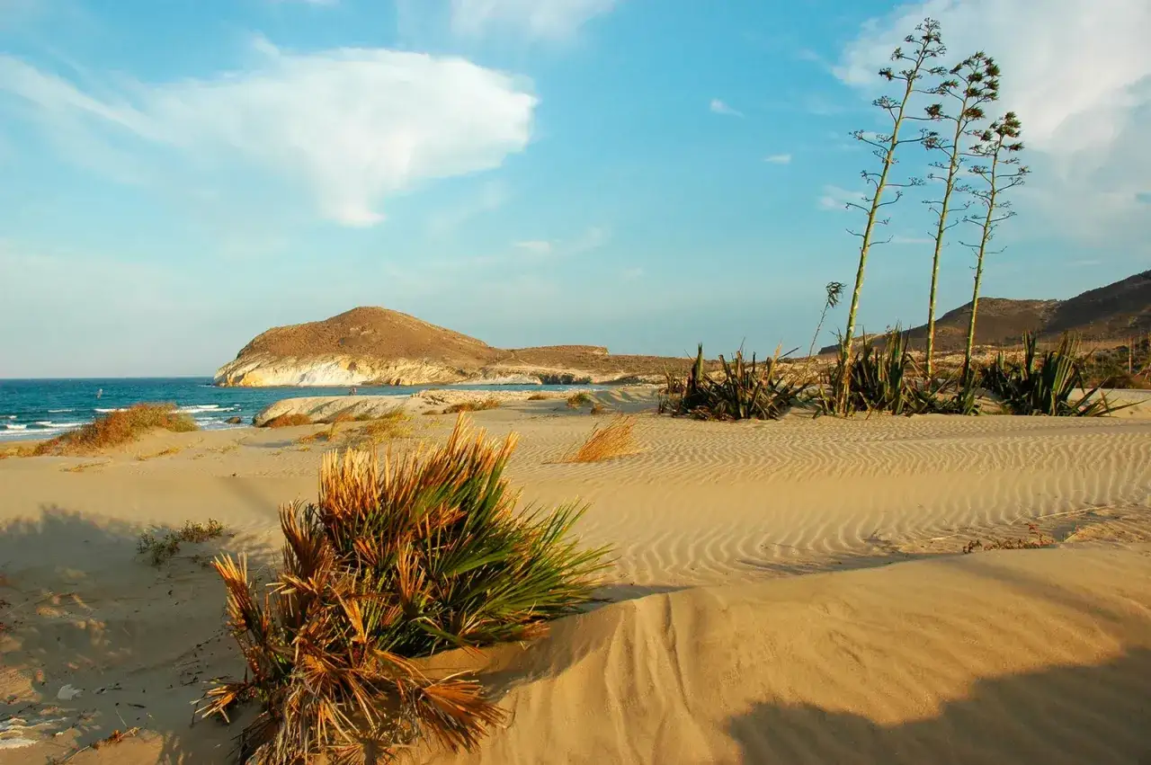Dunas doradas y vegetación desértica en la playa de los Genoveses, con el mar azul y una montaña al fondo bajo un cielo nublado.
