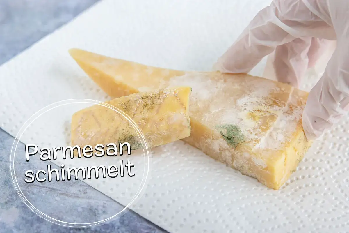 Ein Stück Parmesan mit grünem Schimmel, das von einer Hand mit Handschuh berührt wird. Der Text 
