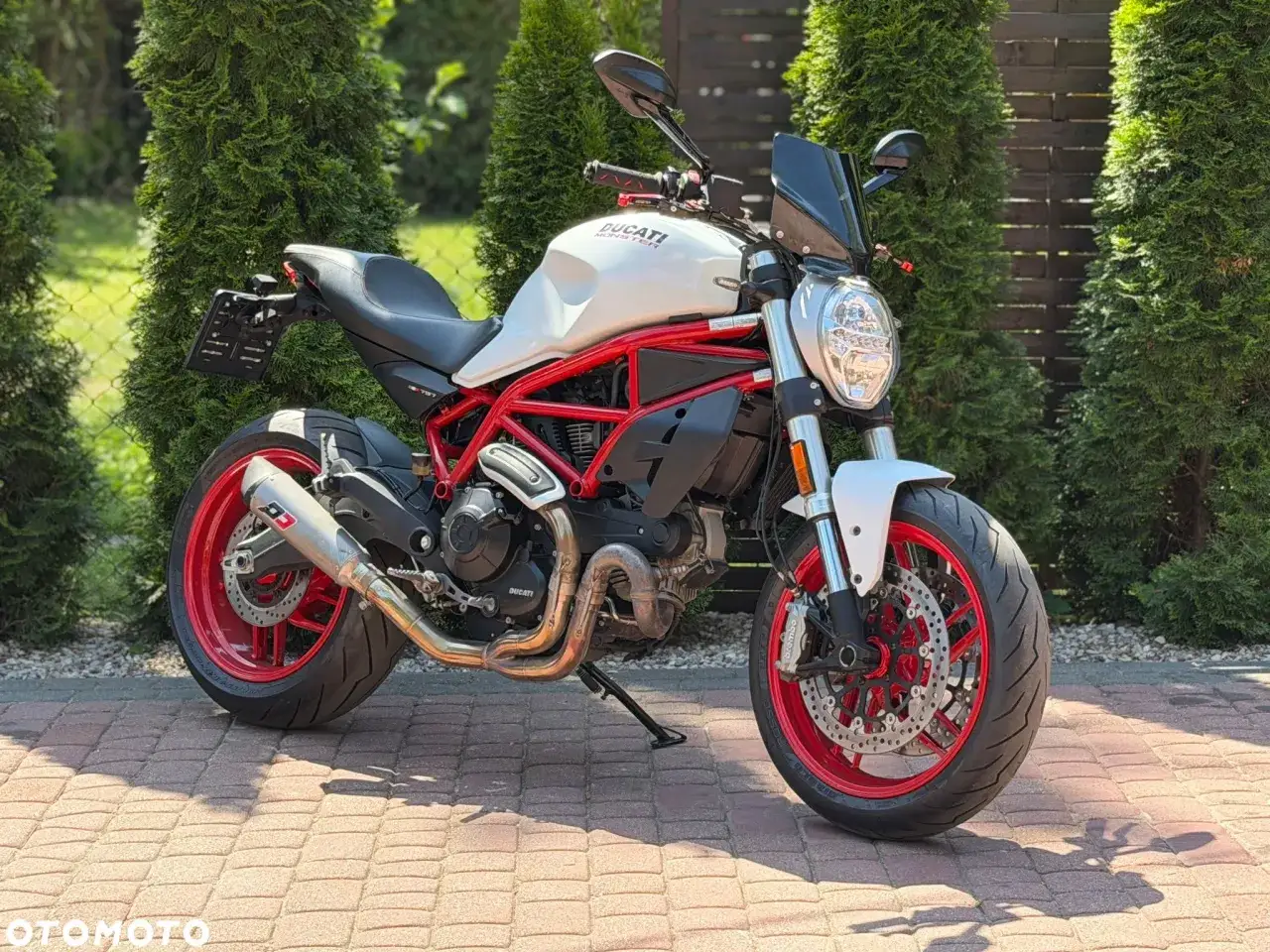 Biały Ducati Monster z czerwonym stelażem, gotowy na jazdę.