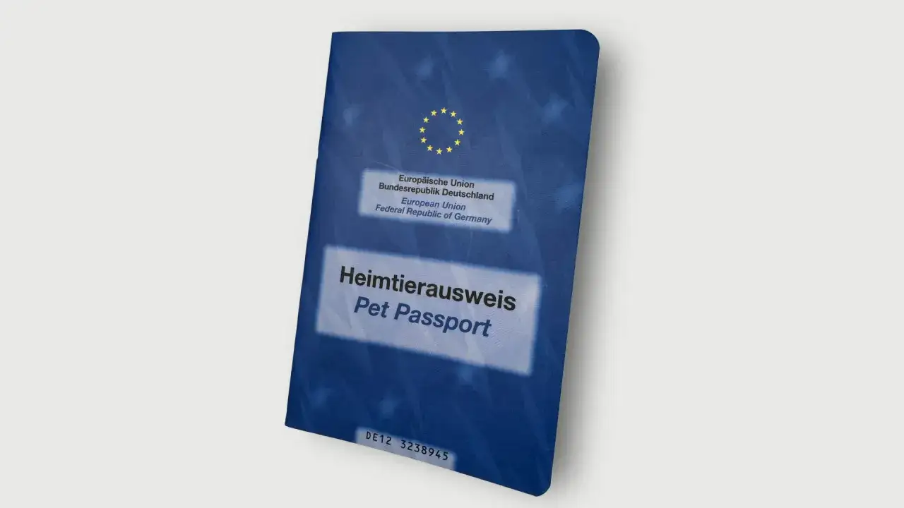 Heimtierausweis f&uuml;r den Hund, wichtig f&uuml;r die Tollwut-Impfung.