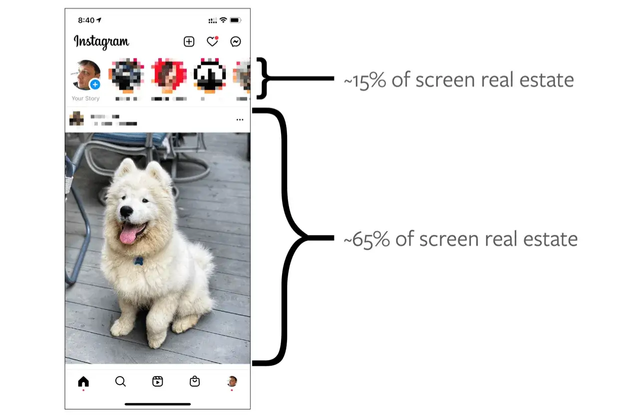 Nowa funkcja na Instagramie: Pasek Stories zajmuje 15% ekranu, a gł&oacute;wny feed z uroczym psem aż 65%.