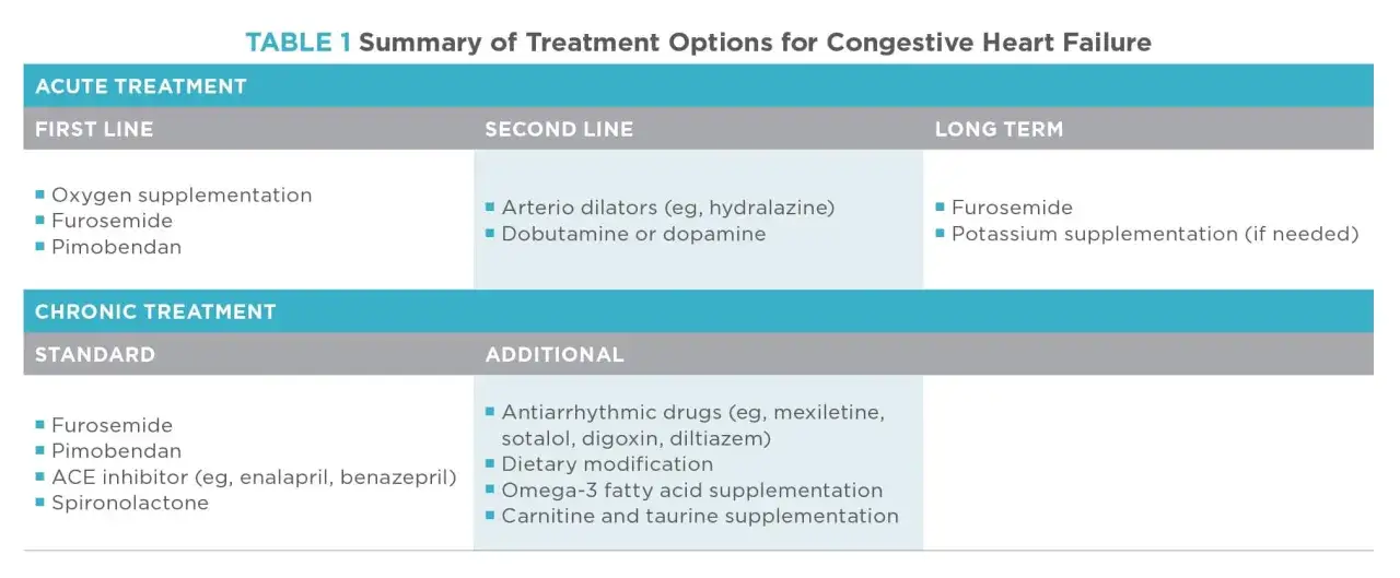Tableau résumant les options de traitement de l'insuffisance cardiaque chez le chien, incluant le Pimobendan et le Furosemide.