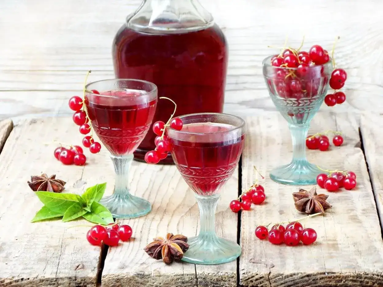Aromatczna nalewka z czerwonej porzeczki w kieliszkach, ozdobiona świeżymi owocami i anyżem.