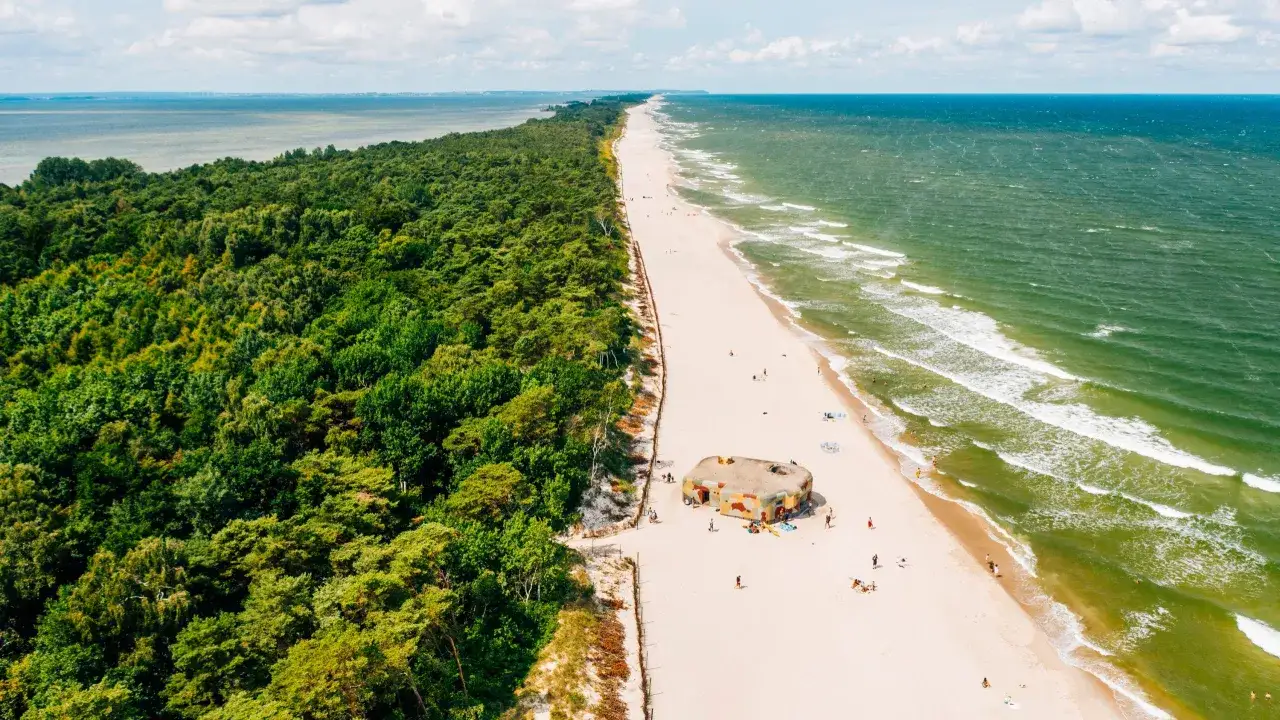 Piękna plaża z lasem sosnowym, idealne miejsce, gdzie na majówkę. Widać ludzi odpoczywających i bunkier w kamuflażu.