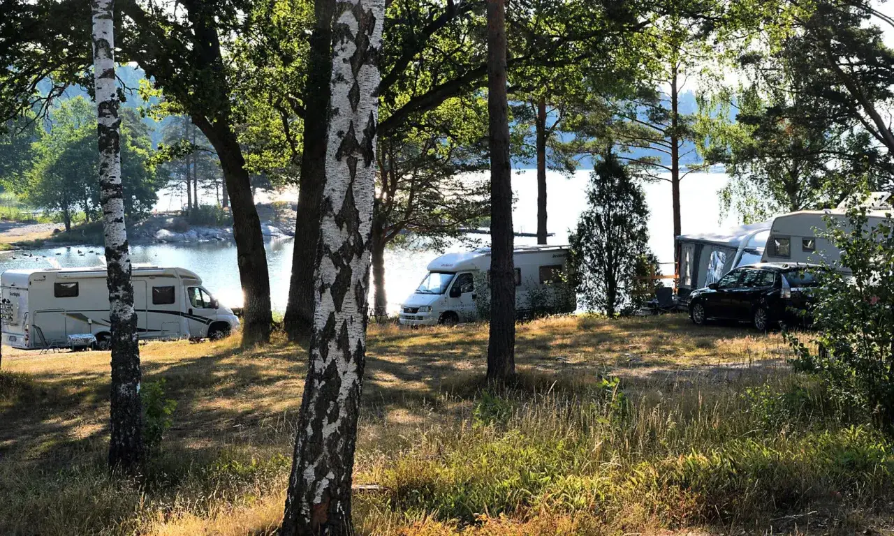 Solig dag på **Kalvholmens camping**. Husbilar och husvagnar står uppställda vid vattnet, omgivna av träd och gräs.