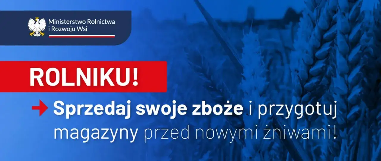 Rolniku! Sprzedaj zboże, przygotuj magazyny. Ministerstwo Rolnictwa informuje o dopłatach do zboża.