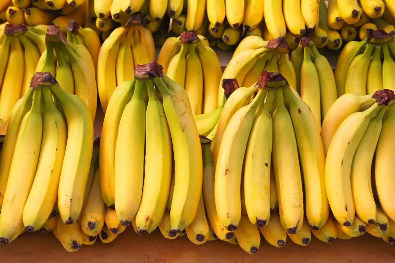 Kupki żółtych bananów, idealnych na biegunkę, wiszą na straganie.