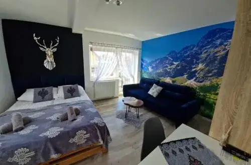 Apartament Wierchy Zakopane nowoczesne wnętrze salon sypialnia
