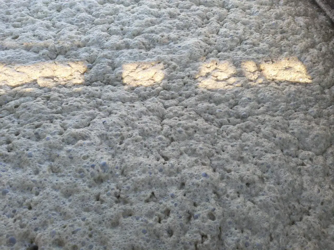 Gęsta piana z bąbelkami, świadcząca o nadmiarze bakterii w oczyszczalni. Światło odbija się od powierzchni.