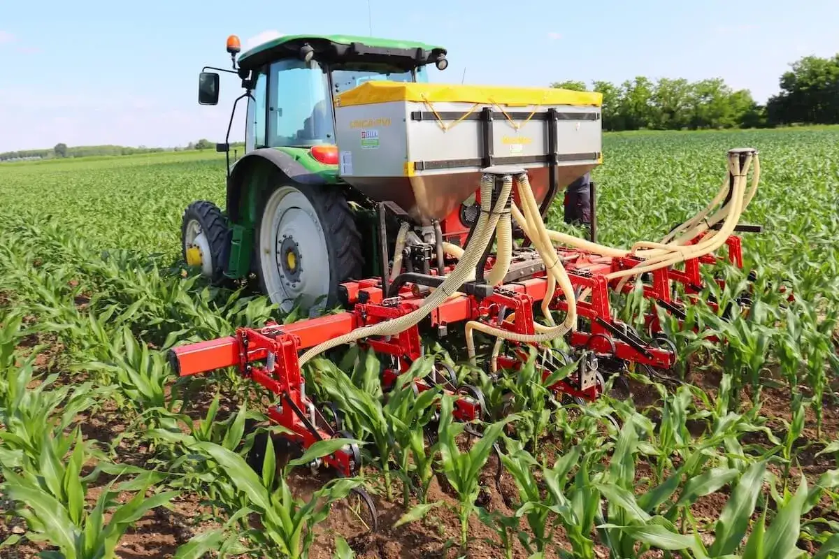 Trattore verde con seminatrice che lavora in un campo di mais, pronto a sarchiare il terreno per una crescita ottimale delle piante.