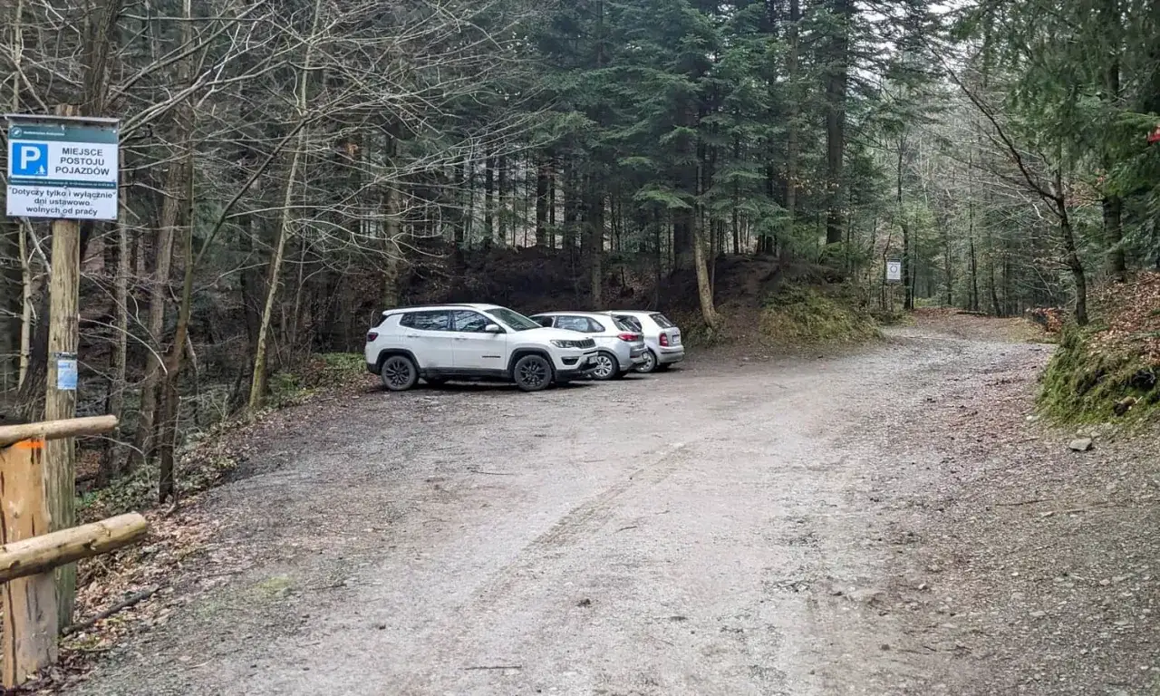 Parking leśny przy początku szlaku białych serc. Białe samochody na żwirowej drodze wśród drzew.