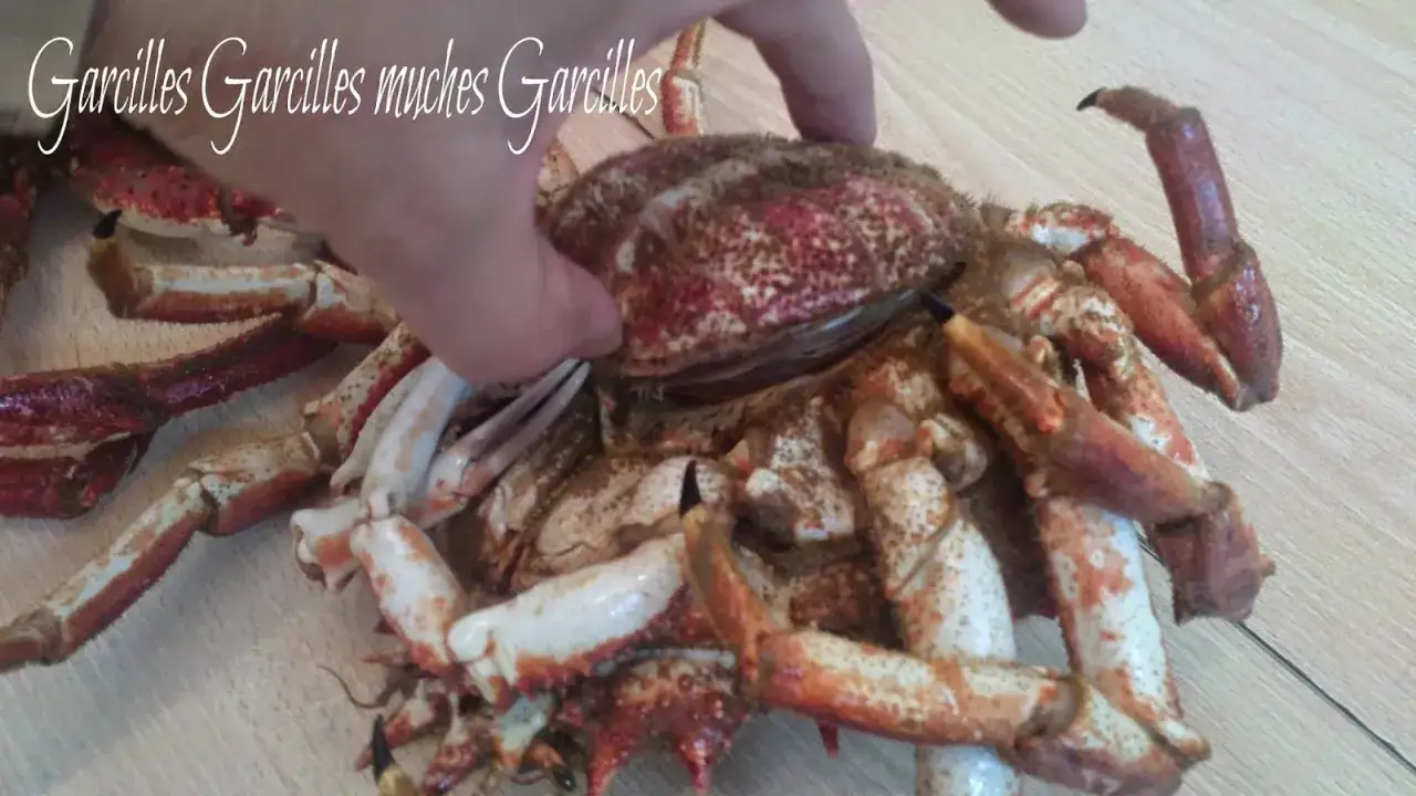 Centolla con huevas, lista para ser preparada. Sus patas rojas y su caparazón cubierto de arena sugieren una reciente captura.