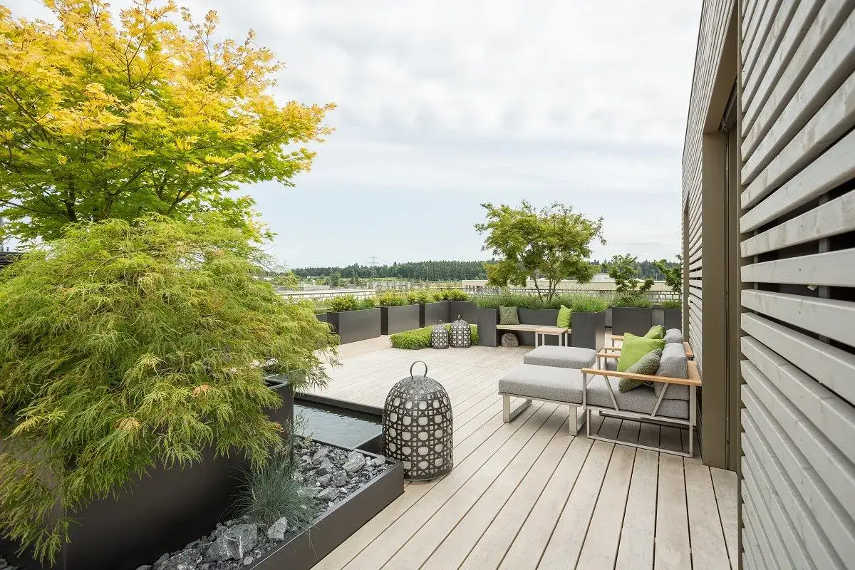 Gemütliche Dachterrasse mit Sitzmöbeln, Ziergräsern und einem japanischen Ahorn. Perfekt für entspannte Stunden.