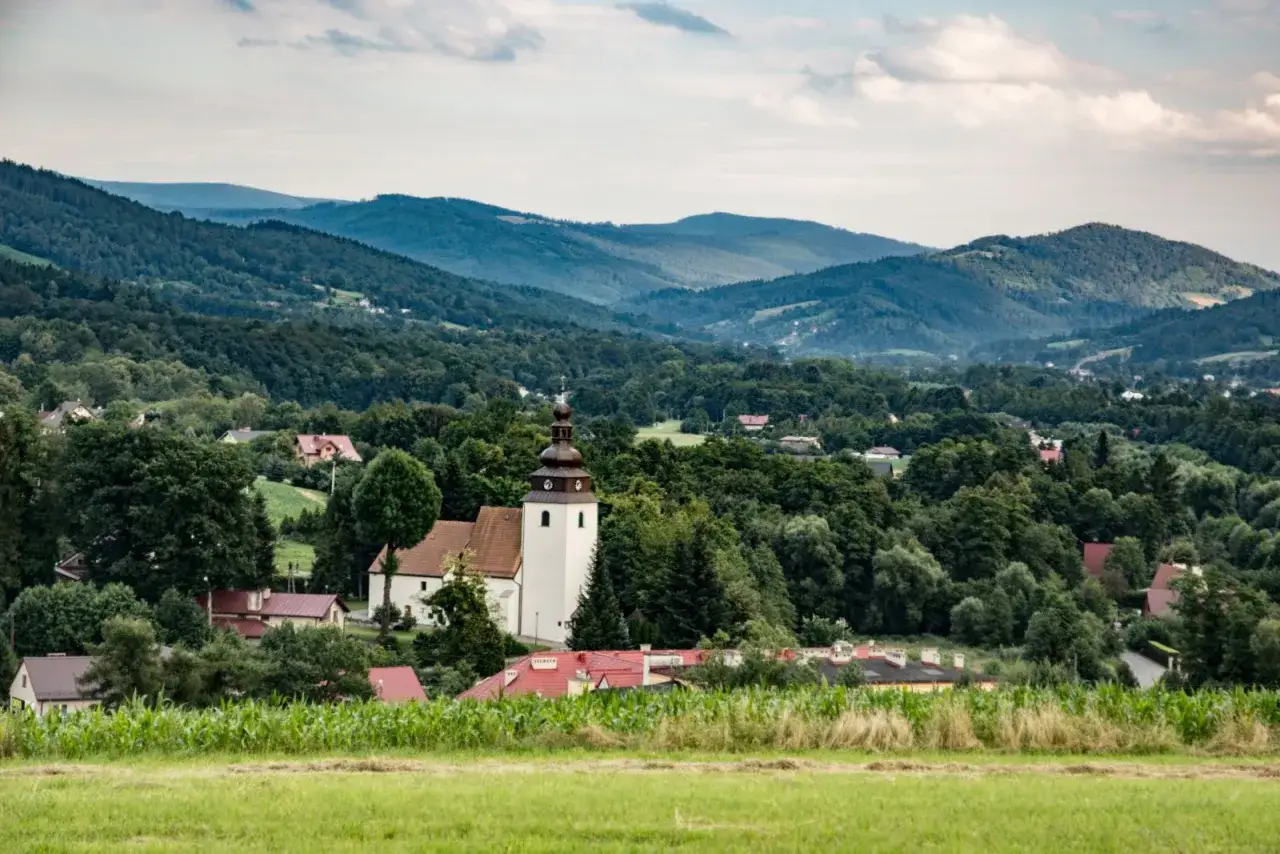 Góra Bucze widoki