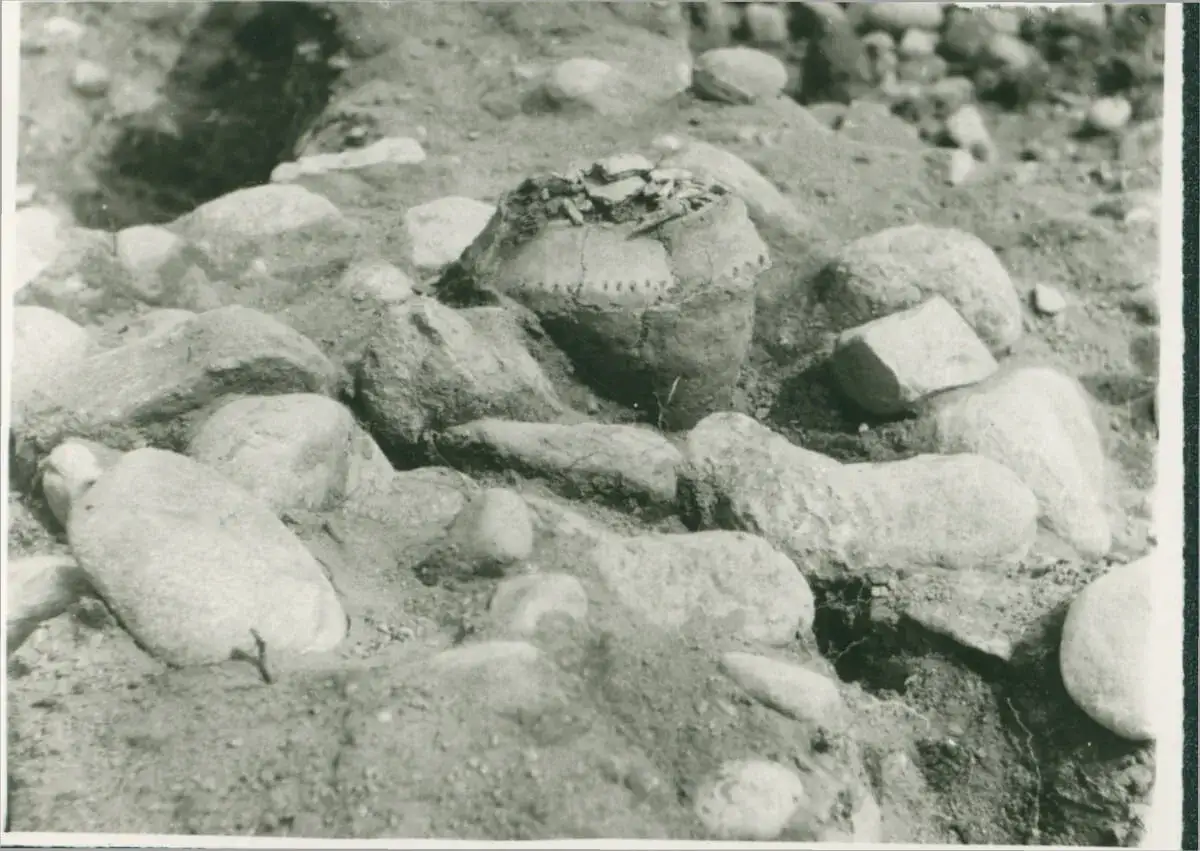 Odkrycie archeologiczne: fragment glinianego naczynia, otoczony kamieniami, być może z dawnych kurhanów. Co to są kurhany?