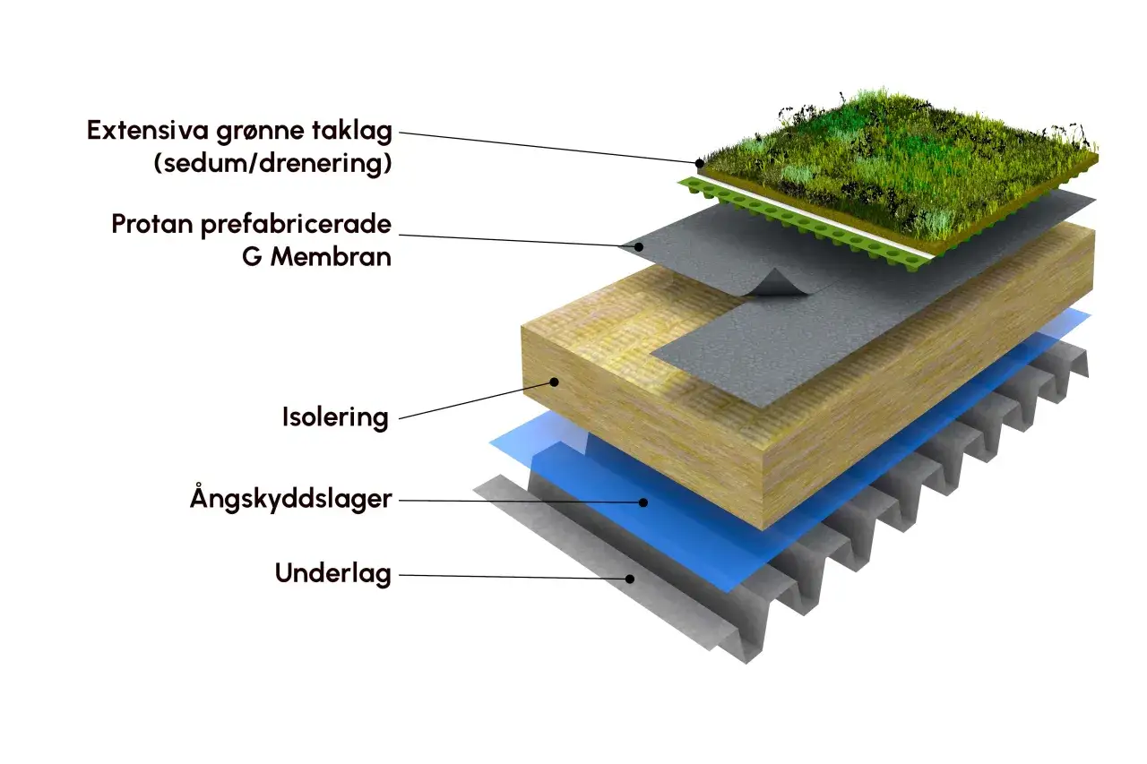 Explosion av en sedumtak konstruktion med lager av vegetation, membran, isolering, &aring;ngskydd och underlag.