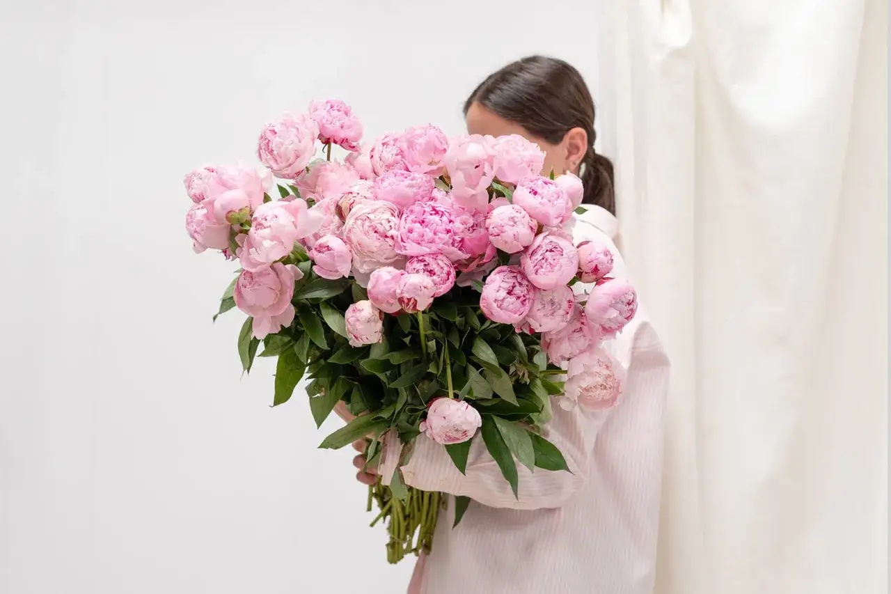 Un ramo de peon&iacute;as rosadas, s&iacute;mbolo de prosperidad y romance, sostenido por una persona.