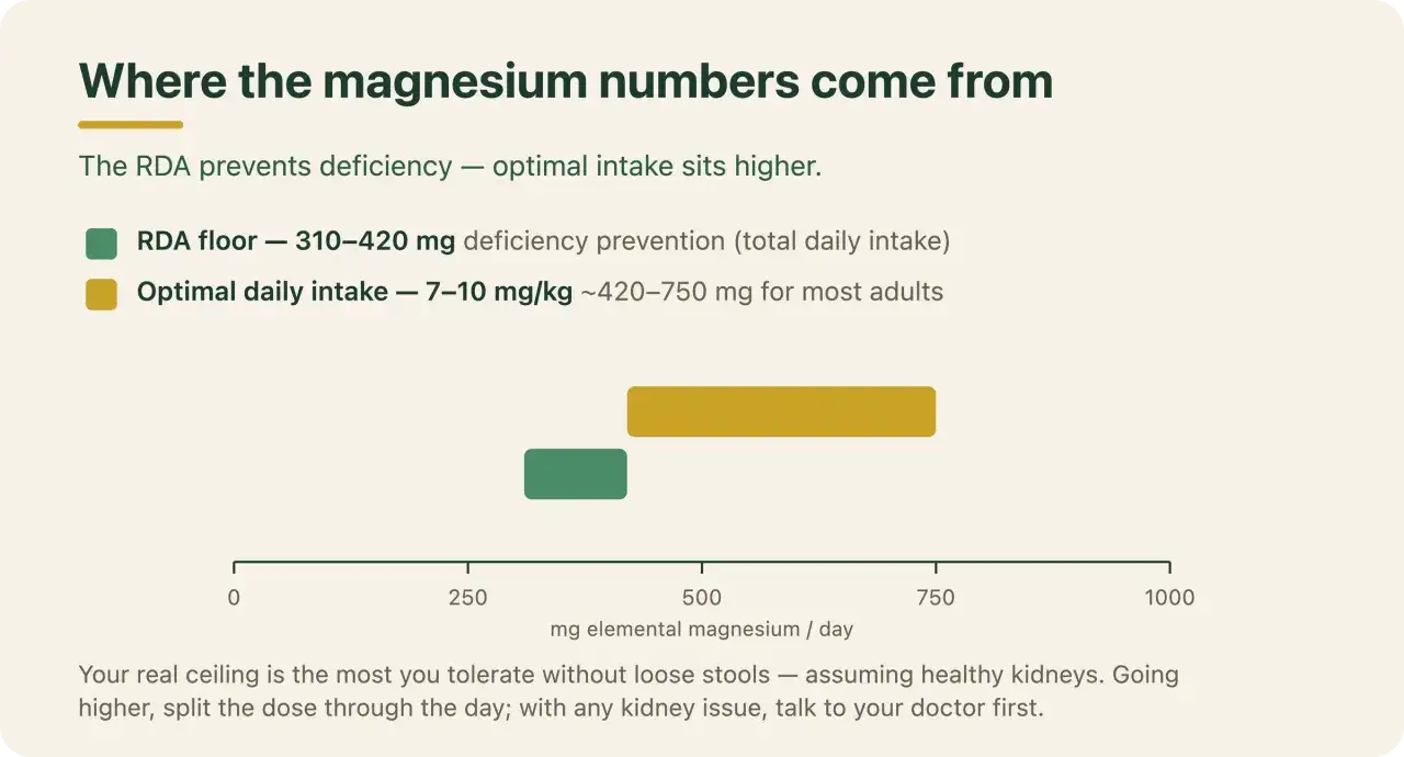 Il grafico mostra quanto magnesio al giorno è raccomandato: 310-420 mg per prevenire carenze, 420-750 mg per un'assunzione ottimale.