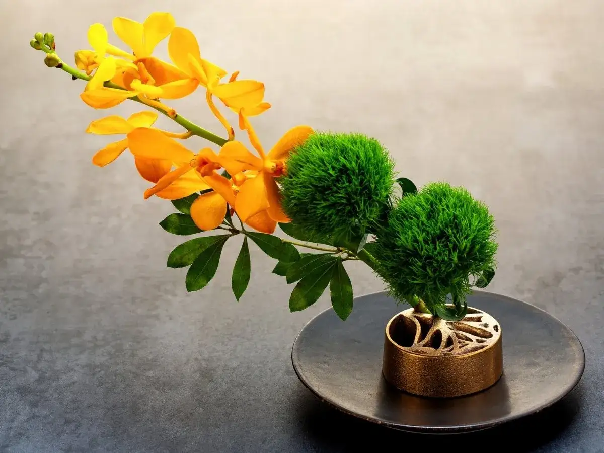 Ikebana co to? Kompozycja z pomarańczowych orchidei i zielonych kul na ozdobnym, złotym stojaku.