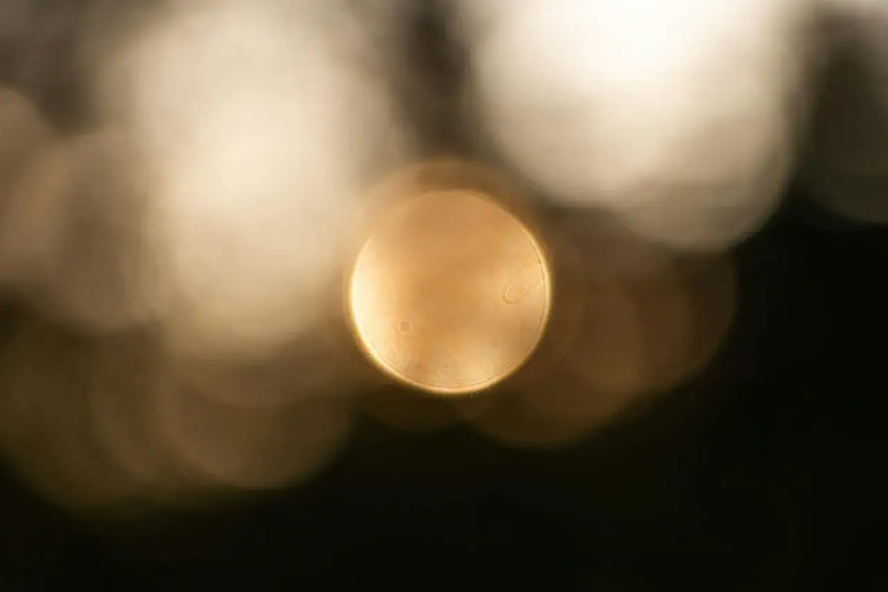 Rozmyte, złote kręgi światła tworzą efekt bokeh. To artystyczne rozmycie sprawia, że obraz jest tajemniczy i magiczny.