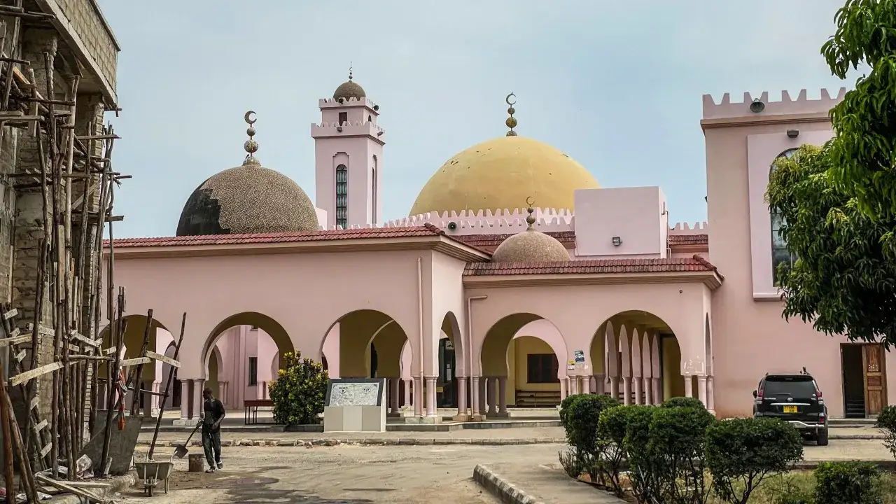Różowa, okazała budowla z kopułami i minaretem, przypominająca meczet, znajduje się w stolicy Tanzanii.