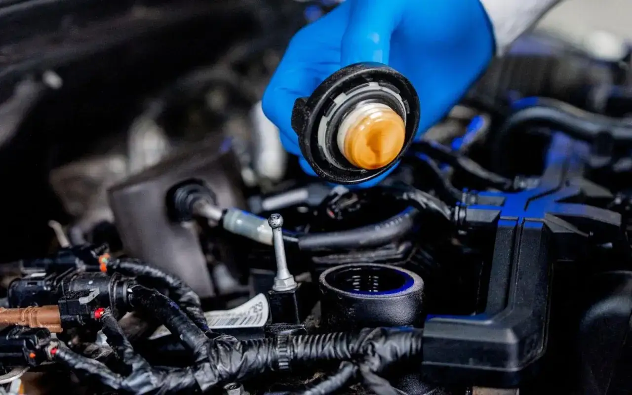 Blå handskbeklädd hand håller upp oljelocket med en gyllene vätska, troligen helsyntetisk motorolja, över en bilmotor.
