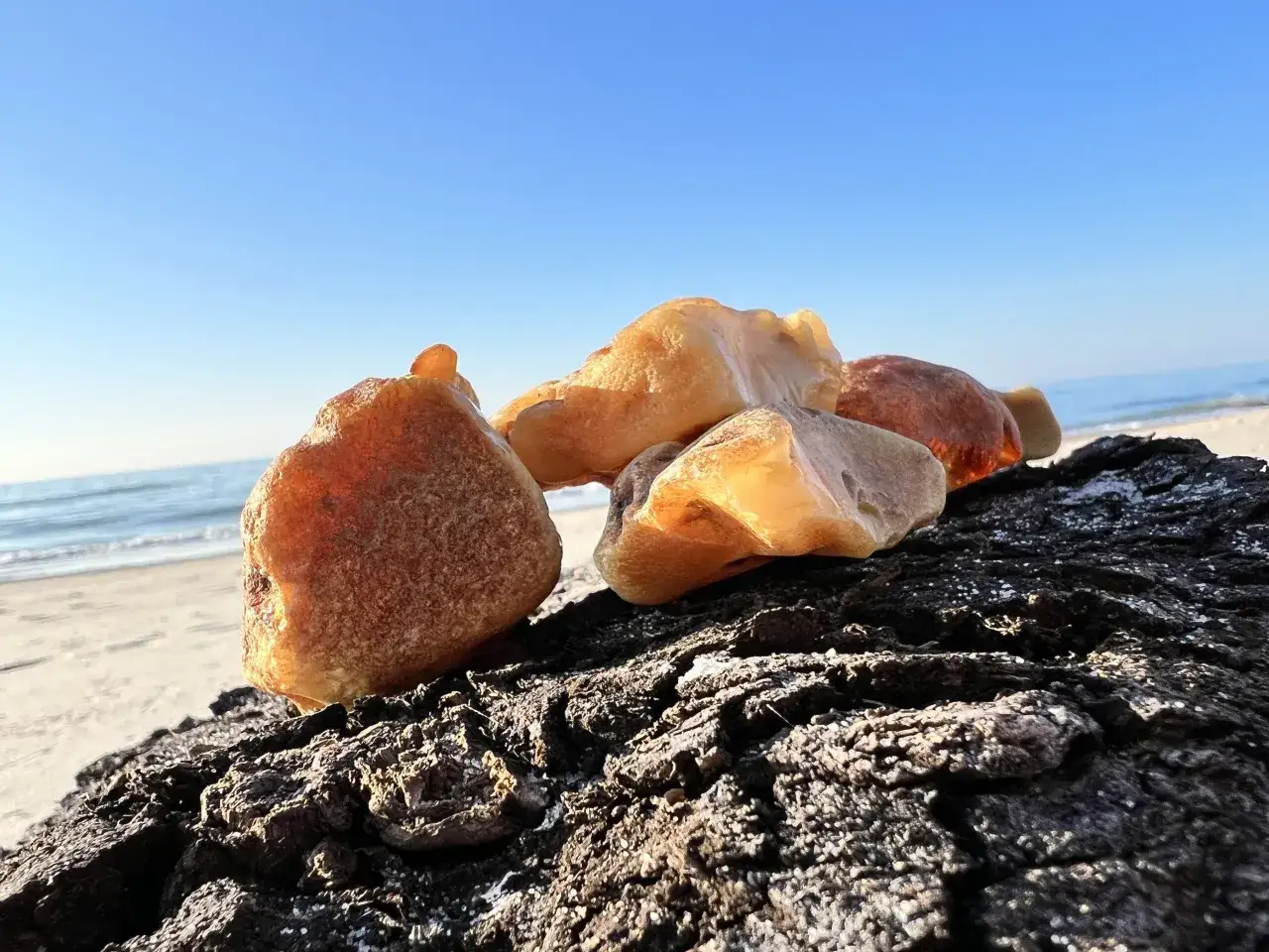 Klejnoty Bałtyku: jak wygląda bursztyn na plaży? Kilka kawałk&oacute;w bursztynu o ciepłych barwach leży na ciemnym, omszałym drewnie, na tle spokojnego morza i błękitnego nieba.