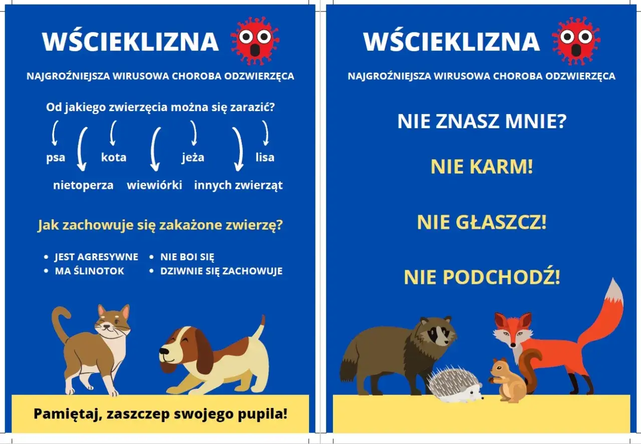 Objawy wścieklizny u psa: agresja, ślinotok, brak strachu. Zaszczep swojego pupila!
