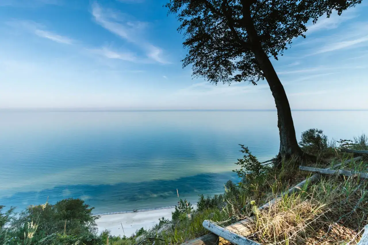 Widok na spokojne morze z klifu w Międzyzdrojach. Drzewo na pierwszym planie i piaszczysta plaża poniżej to jedne z pięknych międzyzdrojskich atrakcji.