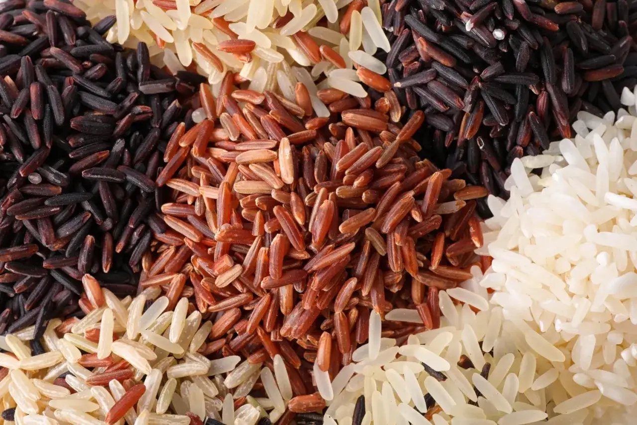 Variet&agrave; di riso: nero, rosso, integrale e basmati. Un mix che pu&ograve; influenzare la glicemia in modo diverso.