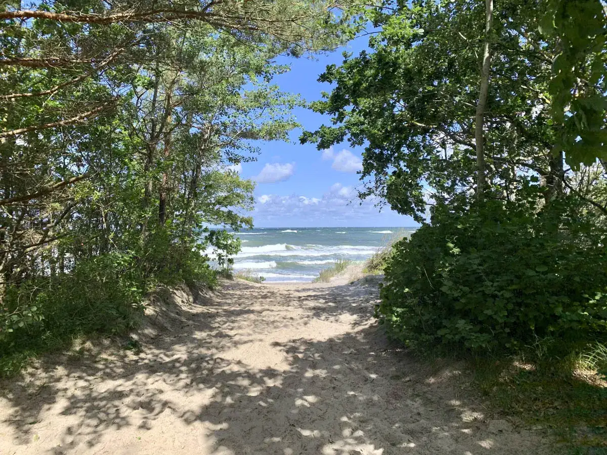 Ścieżka przez las prowadzi na piaszczystą plażę w Rusinowie nad morzem. Widać fale i błękitne niebo.