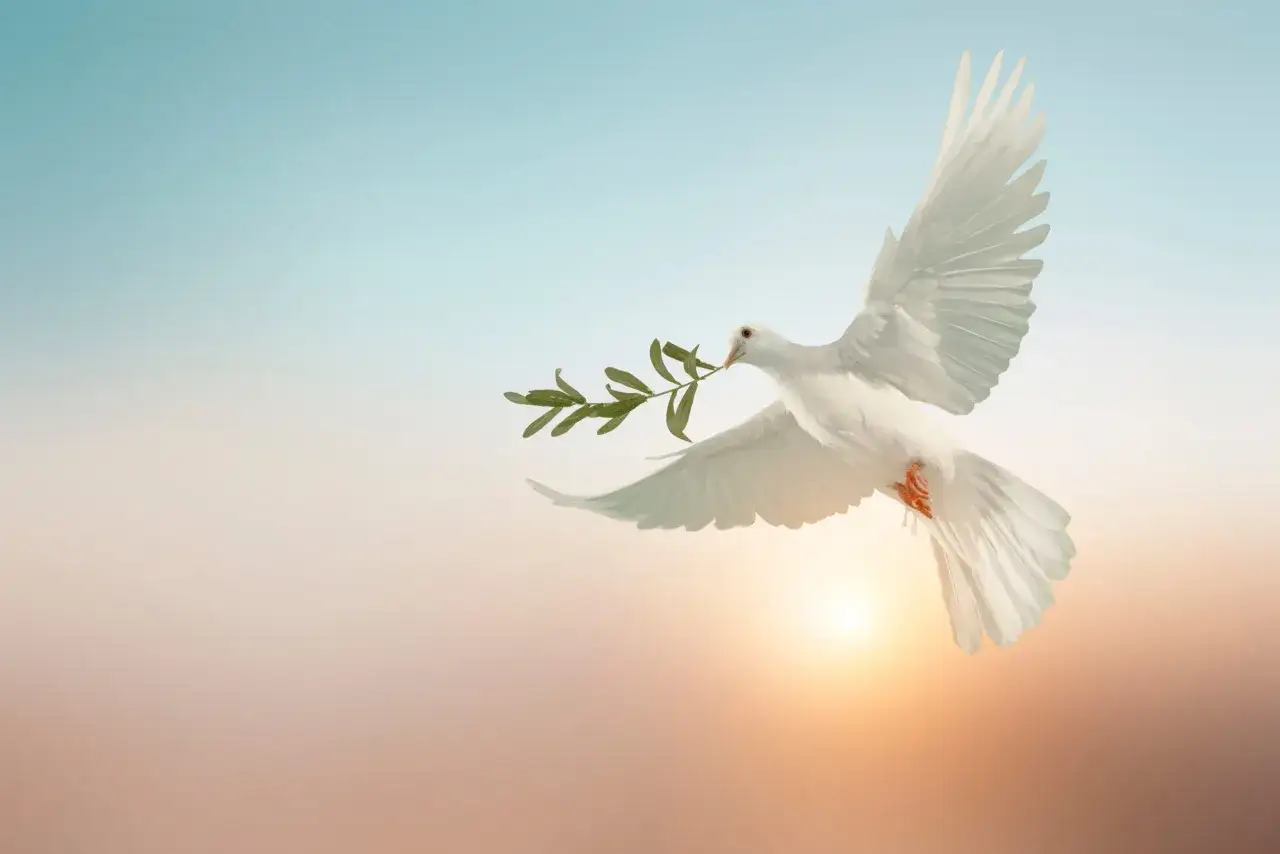 Eine weiße Taube fliegt mit einem Olivenzweig im Schnabel vor einem sanften Sonnenuntergang. Sie symbolisiert Frieden und die Frage: Was ist der Heilige Geist?