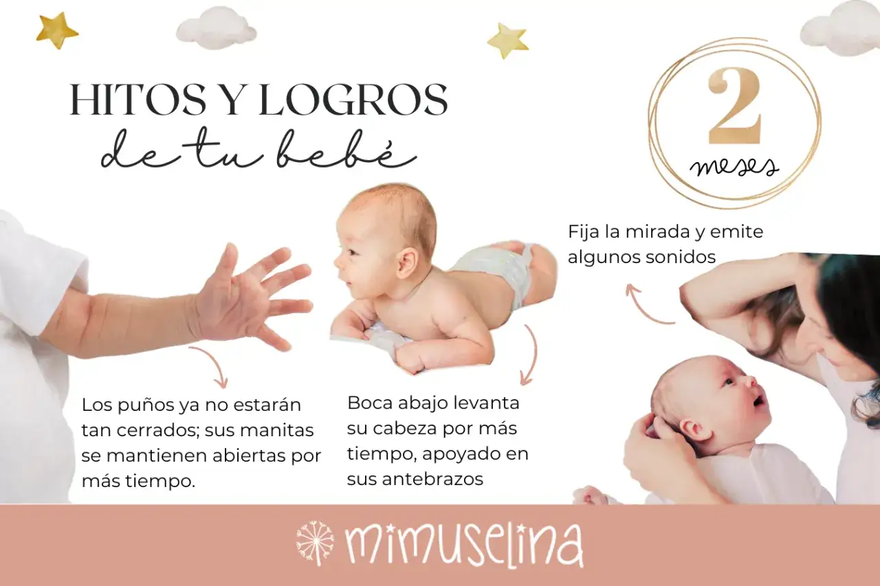 Un beb&eacute; de 2 meses aprende a fijar la mirada, emite sonidos y levanta la cabeza boca abajo. Sus manitas se abren m&aacute;s.