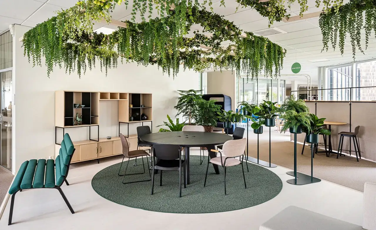 Espace de bureau lumineux avec de nombreuses plantes vertes suspendues et en pots, illustrant le design régénératif.
