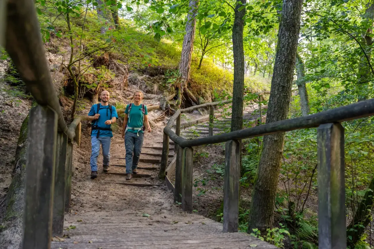 Ein Paar wandert auf einem Holzsteg durch den sonnendurchfluteten Teuteburger Wald.