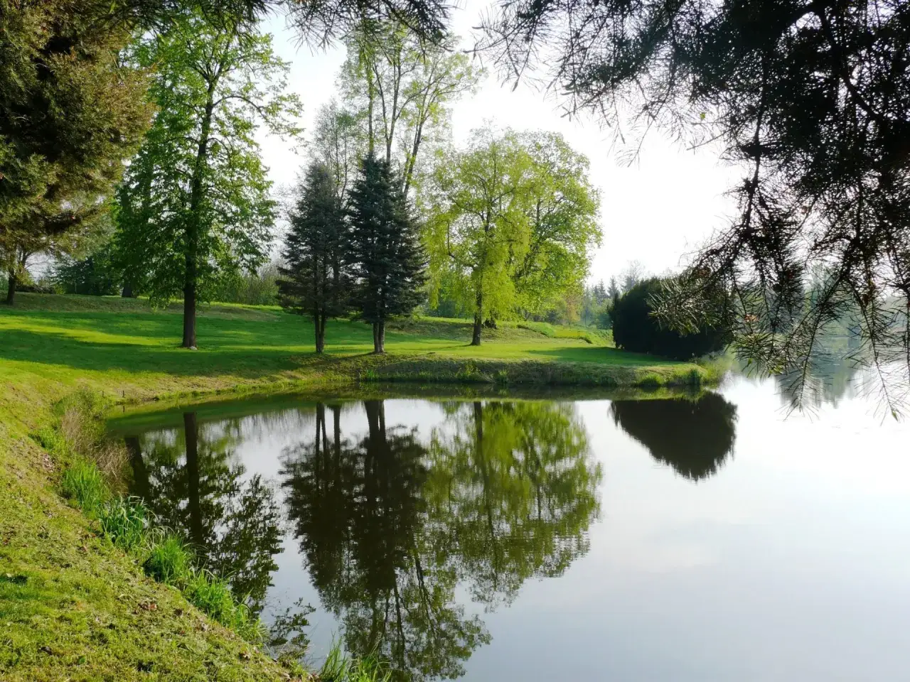 Spokojny staw odbija drzewa i zieleń wokół, tworząc malowniczy krajobraz przypominający park przy dworze Zbożenna.