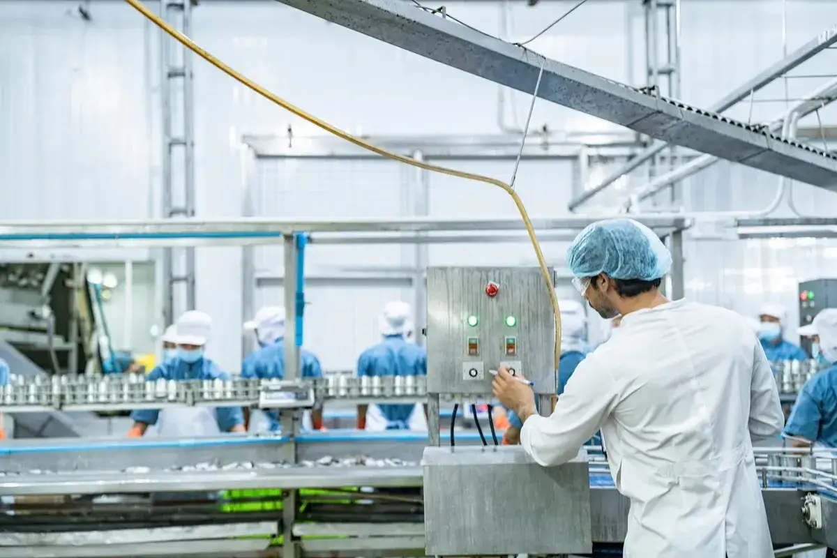 Pracownik w białym fartuchu i czepku obsługuje panel sterowania na linii produkcyjnej. W tle widać innych pracowników w niebieskich uniformach, co sugeruje pracę w ruchu ciągłym.