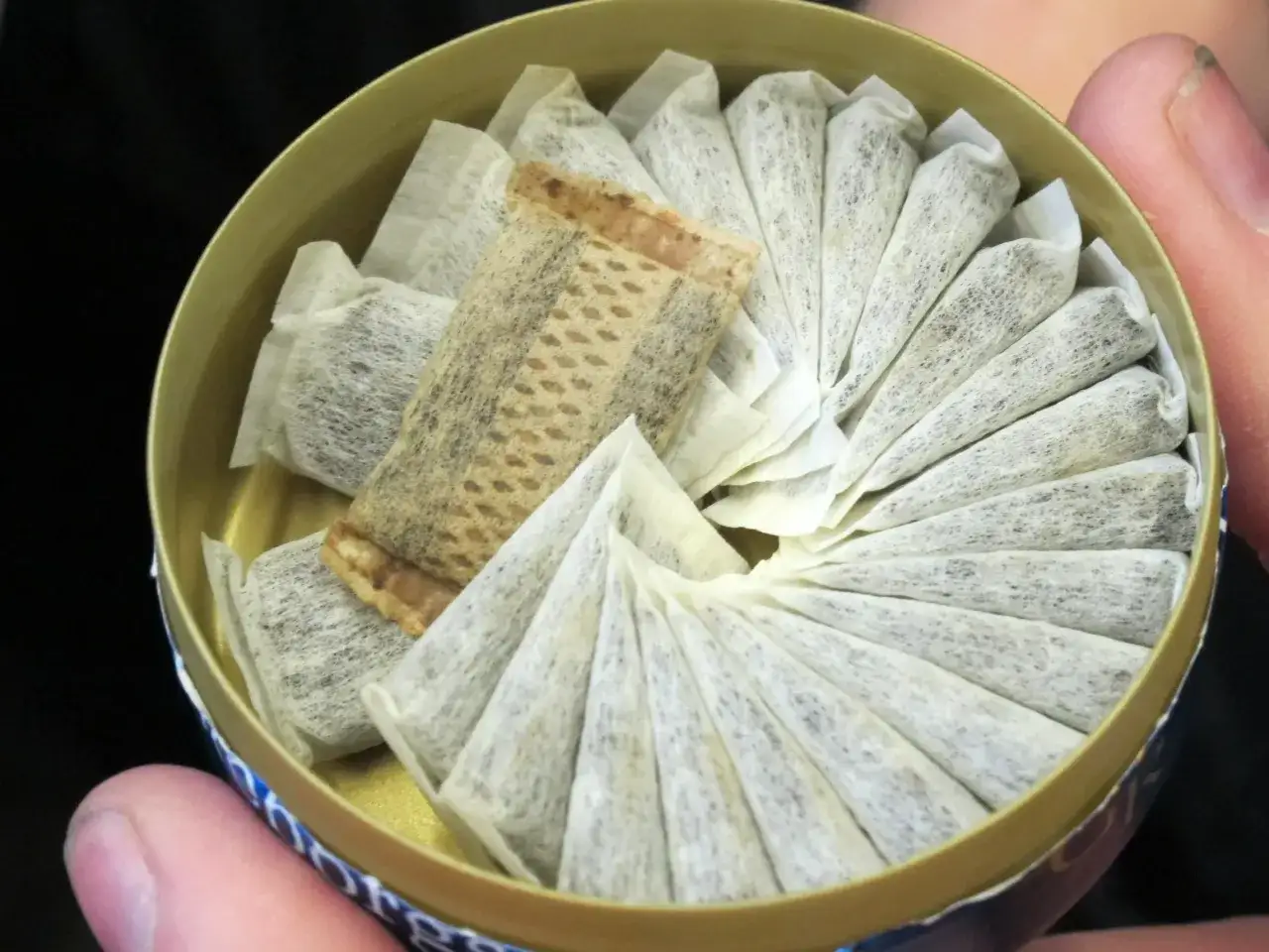 Paczuszki snusu w puszce. Czy snus jest legalny w Polsce? To pytanie nurtuje wielu użytkowników.