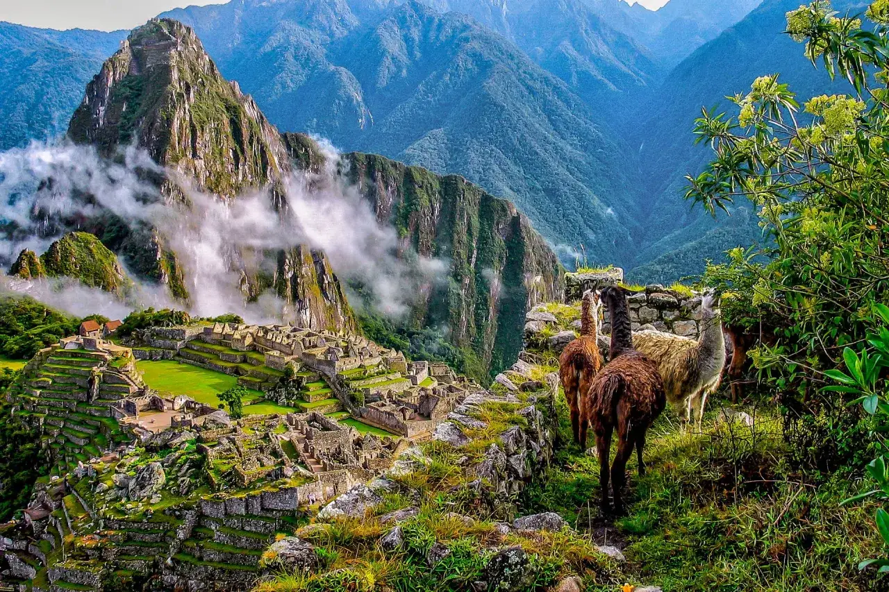 Machu Picchu z lamami w tle gór. Idealny czas, kiedy najlepiej lecieć do Peru, to sucha pora roku, od maja do października.