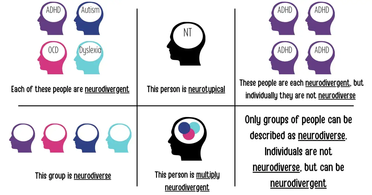 Ilustracja wyjaśnia różnicę między neurodywergentnym a neurodiversyjnym. Pojedyncze osoby są neurodywergentne, grupy są neurodiversjne.